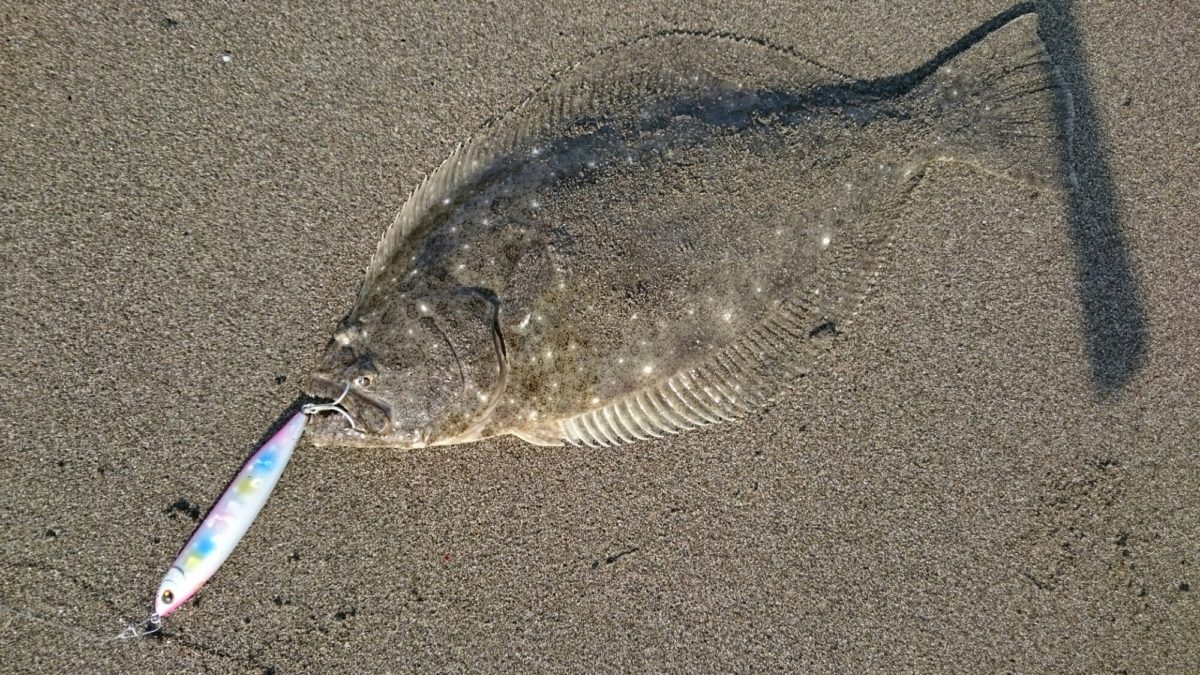 ＹＯＩＣＨＩにヘビーバージョン出る　YOICHI 99 BALLISTA