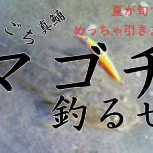 四万十川サツキマス36cm　５月初釣行！！
