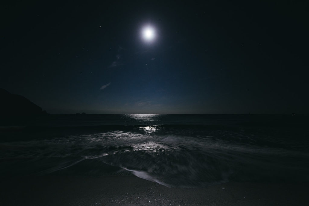 座布団ヒラメの釣れる可能性が高くなる潮回りは満月大潮の晴れた夜
