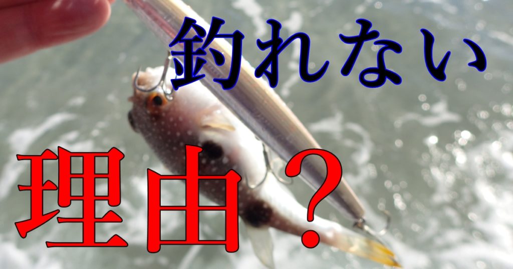 【サーフ】ヒラメが釣れない時は何を疑う？疑うべき５つの理由【初心者】