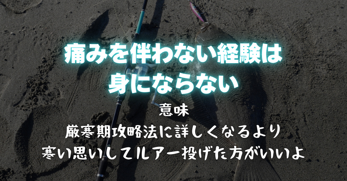 １月２月３月の厳寒期サーフは適水温ではないから釣れない？厳寒期のサーフの攻略のヒント、寒ビラメがよく釣れるルアーとは？そんな話【ヒラメマゴチフラットフィッシュ】