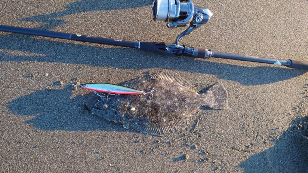 サーフで使える 2025年最新版】サーフ専用ロッドをメーカー別に整理してみた！ネッサ