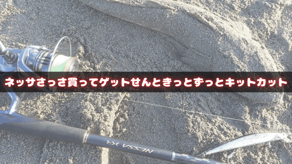 ネッサエクスチューンがマイナーチェンジ！NESSAの歴史や現行機種の比較ツールを作ってみました！そんなしましまシマノ話【SHIMANO】