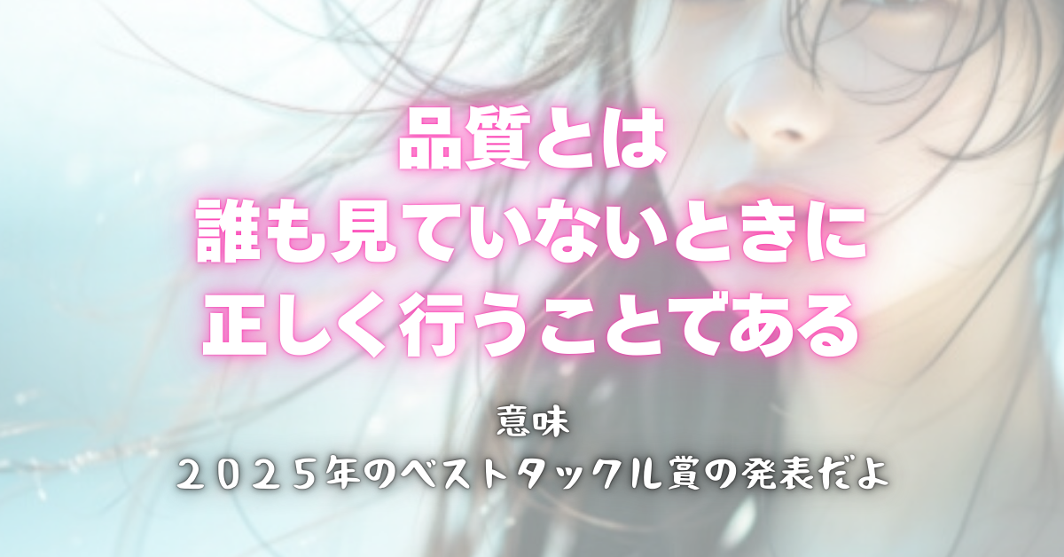 ２０２５年に買って良かったタックル・ベストタックル賞の発表です！そんな年末大掃除話【サーフトラウトショアジギングショアラバ】