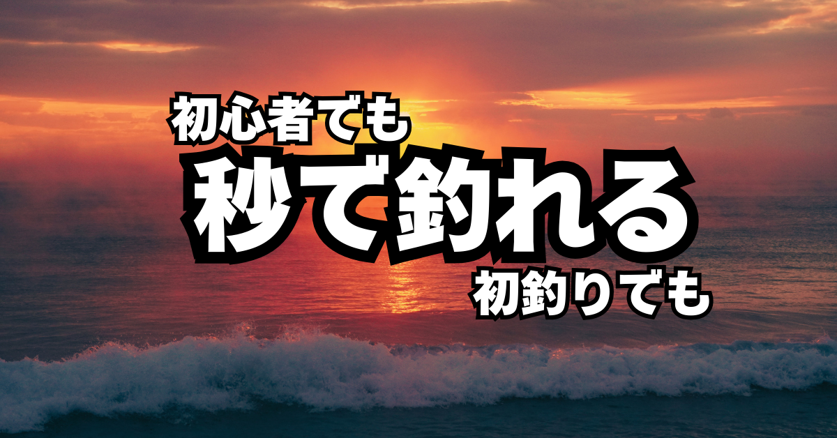 初釣り初サーフで初心者でもヒラメマゴチが釣れる考え方を解説！たった１０８つ覚えるだけでほぼ確実に釣れなかった貴女がそうでもなくなる！そんなおとぎ話【フラットフィッシュ】
